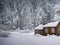 A serene winter wonderland with snow-covered trees and a cozy cabin