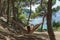 Serene Woman Relaxing in a Hammock by the Sea