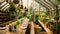 A serene wooden table sits amidst a lush paradise of potted plants inside a greenhouse, An organic farm-to-table restaurant, ready