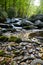 Serene Woodland Stream with Mossy Rocks, Smoky Mountains Low Angle View