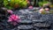 Serene Zen Garden with Black Stones and Pink Waterlily