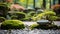 A serene Zen garden, with raked gravel and moss as the background, during a tranquil meditation session