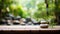 Serene Zen Garden: Tranquility in Japanese Minimalism