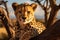 Serengeti beauty Cheetah spotted on a tree trunk, Tanzania