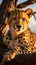 Serengeti beauty Cheetah spotted on a tree trunk, Tanzania