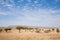 Serengeti National Park landscape, Tanzania, Africa