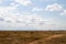 Serengeti National Park Landscape with zebra and wildebeests