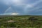 Serengeti rainbow