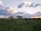 Serengeti Sunset, Serengeti National Park, Tanzania