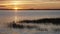 Serenine Sunset Over Calm Waters with Silhouetted Reeds