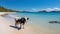 Serenity on the Beach: A Bovine Companion. Generative AI