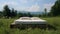 Serenity in Bloom: King-Sized Bed Amidst Wildflowers in Tranquil Meadow