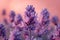 Serenity Bloom: Lavender Glow. Concept Garden Escape, Tranquil Moments, Lavender Fields, Relaxation