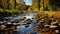 Serenity Of Fall: Capturing Nature\\\'s Beauty In A Pasture Stream