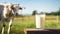 Serenity: Goat Grazing on Farm.