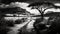 Serenity in Monochrome: Stunning AI-Generated African Landscape with a Track