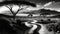 Serenity in Monochrome: Stunning AI-Generated African Landscape with a Track