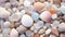 Serenity in Pastels: Abstract Texture of Pebbles and Seashells on Wooden Surface