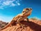 Serenity in the Sands: The Bearded Dragon\\\'s Desert Haven