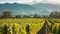 Serenity in the Scenic Napa Valley: A Majestic Vineyard Nestled Amidst Towering Mountains []