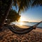 Serenity by the Sea: Hammock Haven on a Tropical Paradise