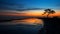 Serenity At Sunset: Majestic Tree On Beach With Chrome Reflections