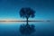 Serenity under the Stars: Lone Tree\\\'s Reflection. Concept Astrophotography, Night Sky, Reflection,