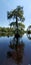 Serenity Wakulla Springs State Park