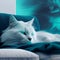 Serenity in White - The Relaxed White Cat