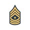 Sergeant major SGM soldier military rank insignia