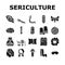 Sericulture Production Business Icons Set Vector