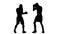 Serie blows and blocks at the training two boxers. Silhouette