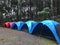 A Series of Blue and Red Tents in a Pine Woods
