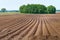 A series of field planting, the ploughed farmland, okuchit treated agricultural fields