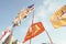 Series of flags of different colors hang on poles in front of a white building