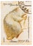 Series Fur-bearing Animals stamps printed by the USSR shows Nutria white