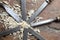 Series of many steel blades many chisels and sawdust chippings i