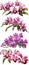 Series of paintings depicting different arrangements of pink and purple flowers. These flower arrangements are arranged