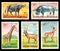 A series of postage stamps printed in Burundi , that depict wild animal of Africa