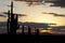 Series of Saguaro Cactus in Arizona Sunset