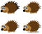 Series of several hedgehogs