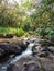 Series of Waterfalls in Stream in Remote Hiking area of Kauai Hawaii