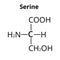 Serine amino acid. Chemical molecular formula Serine amino acid. Vector illustration on isolated background