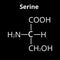 Serine amino acid. Chemical molecular formula Serine amino acid. Vector illustration on isolated background