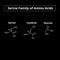 Serine family of amino acids. Chemical molecular formulas of the amino acids serine, cysteine, glycine. Vector