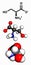 Serine l-serine, Ser, S amino acid molecule.