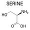 Serine or l-serine, Ser, S, amino acid molecule. Skeletal formula.