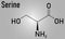 Serine or l-serine, Ser, S, amino acid molecule. Skeletal formula.