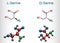 Serine, Ser amino acid molecule. It is used in the biosynthesis of protein. Structural chemical formula and molecule model. Sheet