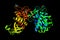 Serine/threonine-protein kinase 4, a cytoplasmic kinase that is